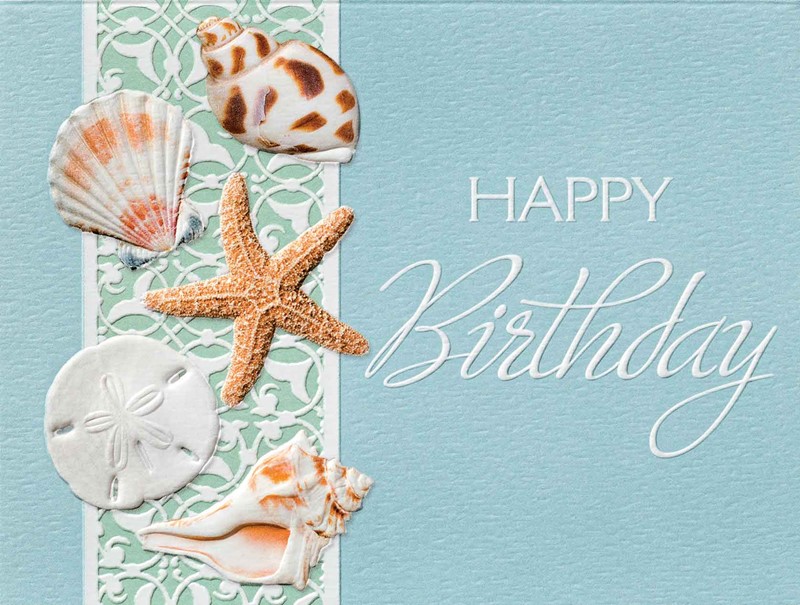 Birthday Shells Seashell Birthday Note Cards