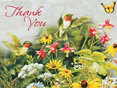 Hummingbird Garden | American made note cards