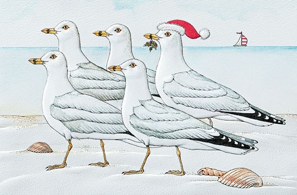 Marching Gulls | Shorebird Christmas cards