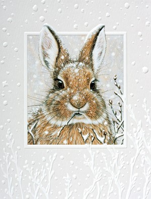 Cool Cottontail | Rabbit boxed Christmas cards
