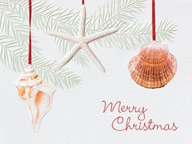 Ocean Ornaments | Embossed seashell greeting cards