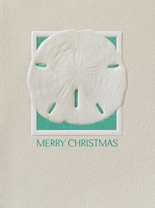 Sand Dollar | Nautical boxed Christmas cards