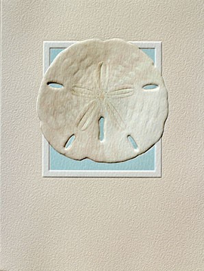 Sand Dollar | Beach themed blank notecards