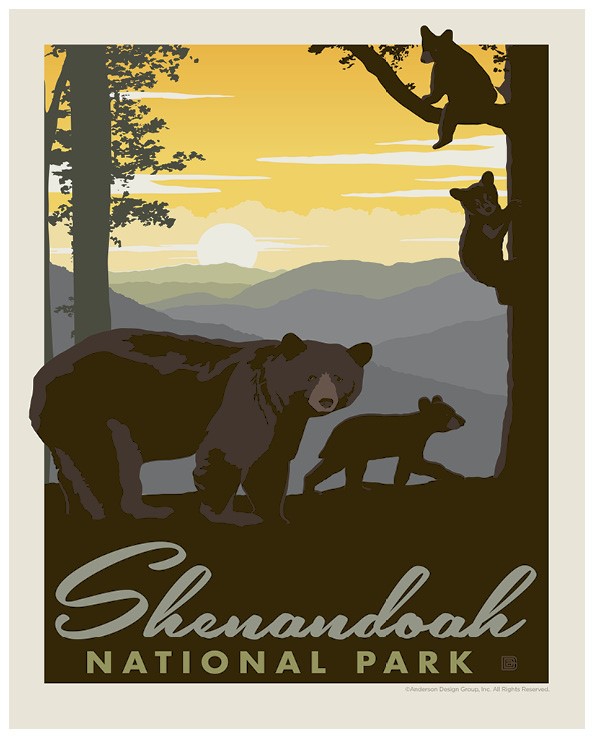 Shenandoah Mama Bear & Cubs Print | Made in the USA