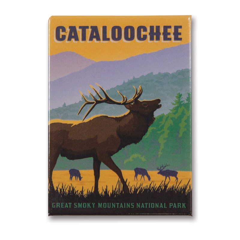 Great Smoky Cataloochee Elk | Metal Magnet