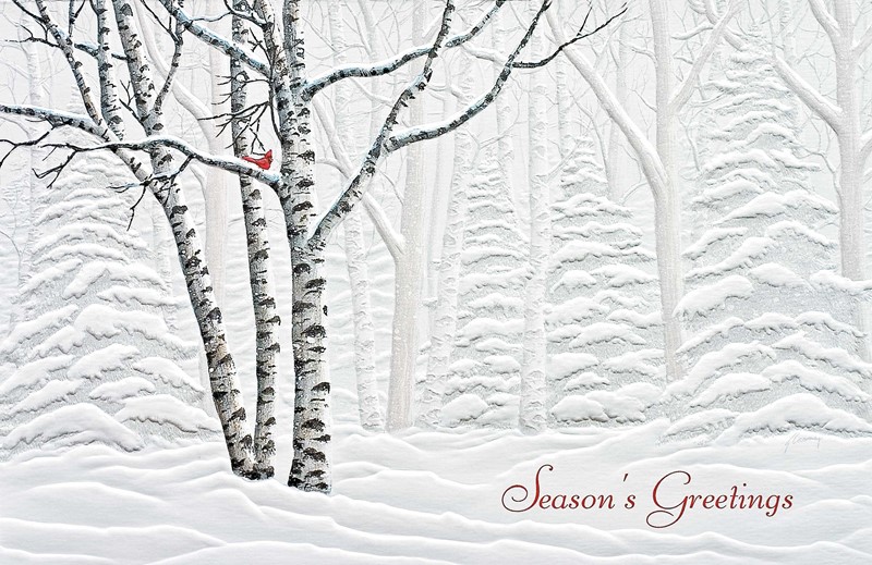 Serene View | Embossed boxed Christmas cards