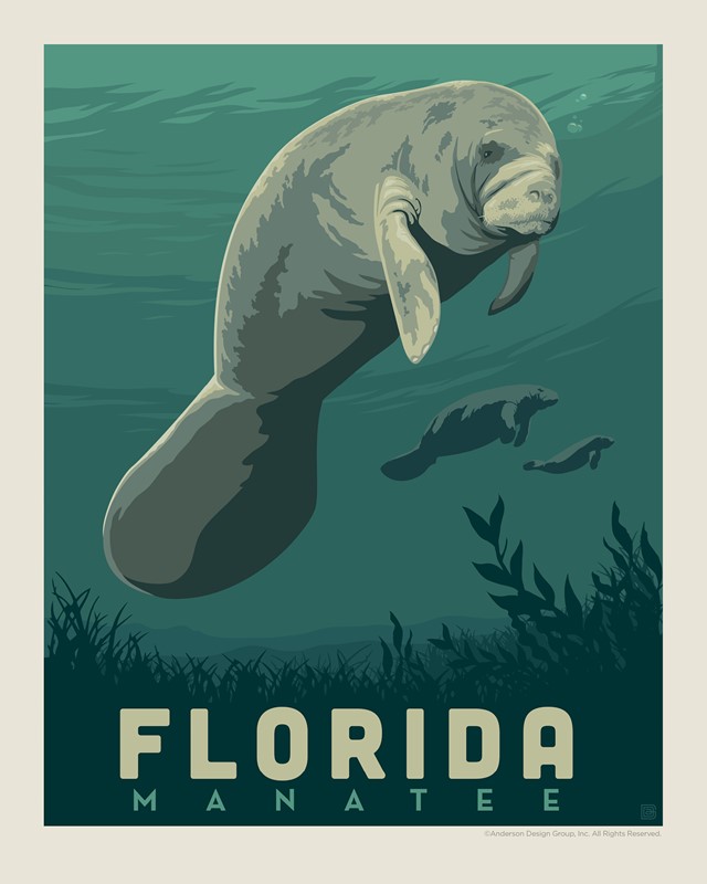 FL Manatee 8" x 10" Print | USA Made