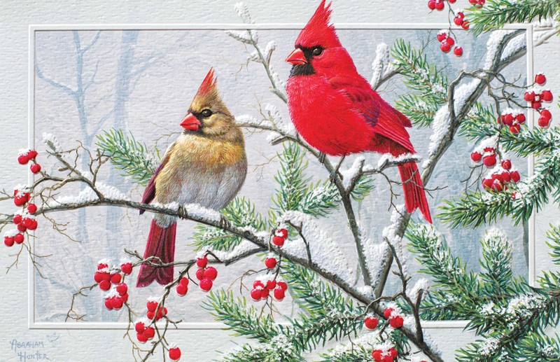 Pumpernickel Press Cardinal Christmas CHRISTMAS CARDS  USA 