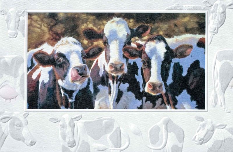 Dairy Queens | Embossed cow greeting cards, Made in the USA