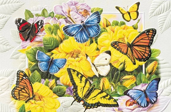 Butterfly Banquet | Embossed butterfly birthday greeting cards