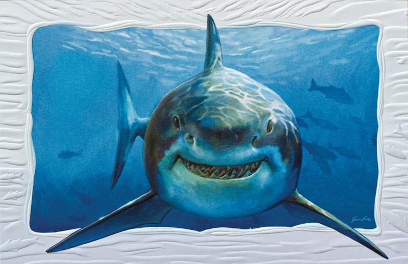Smiley Shark | Shark greeting cards