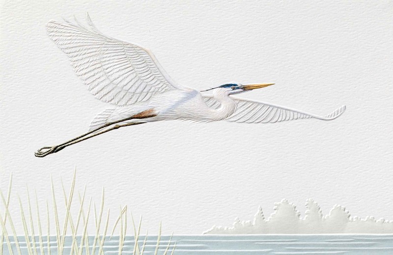 Blue Heron | Bird lover greeting cards
