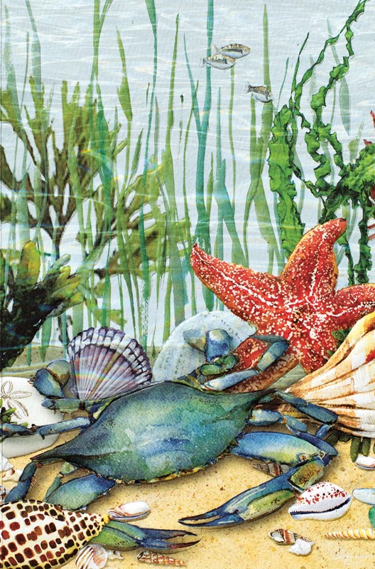 Under Sea Blue  | Beach friendship greeting cards