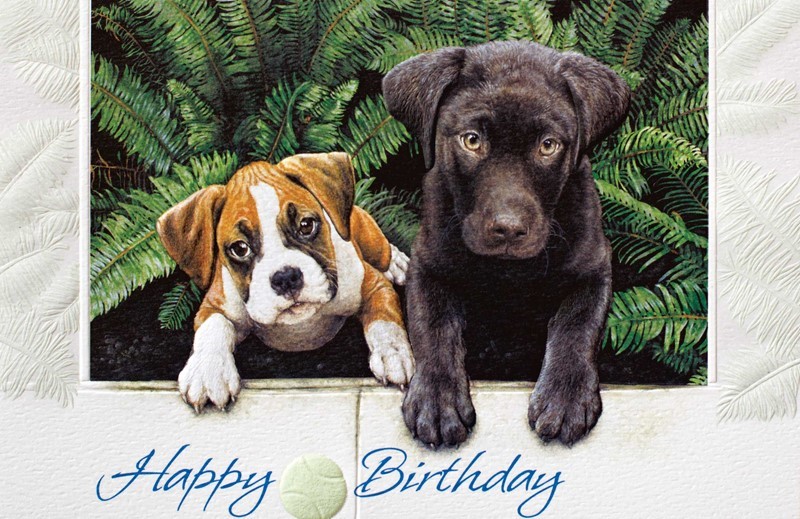 Good Neighbors | Birthday greeting cards