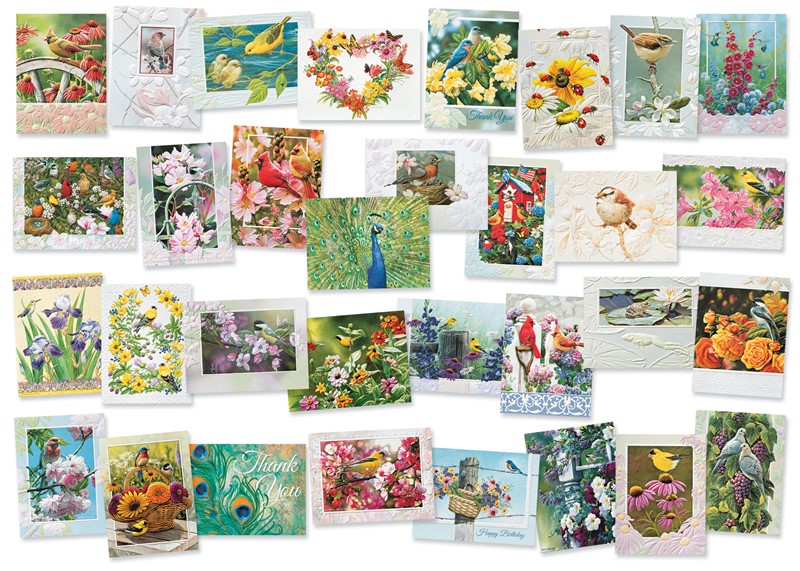 Backyard Bird Petite Card Assortment | Everyday Assortment