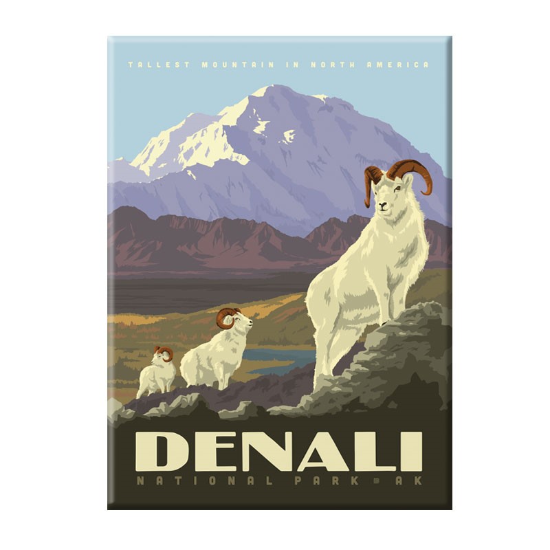 Denali National Park Dall Sheep Magnet | Metal Magnet