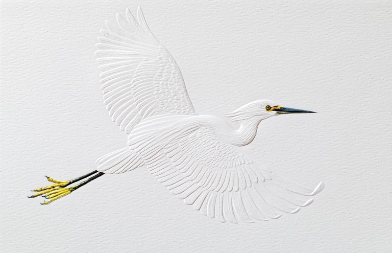 Snowy Egret | Blue crab boxed Christmas cards