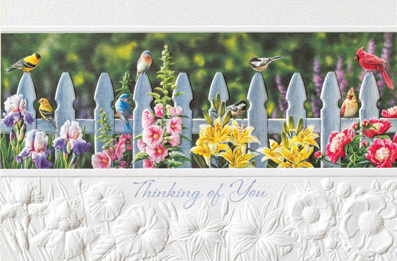 Songbird Meet Up (TOY) | Thinking of You greeting cards