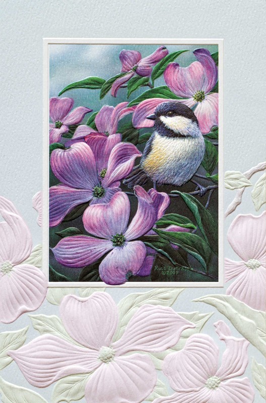 Chickadee On Dogwood | Birthday greeting cards