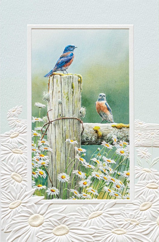 Summer Breeze | Birthday greeting cards