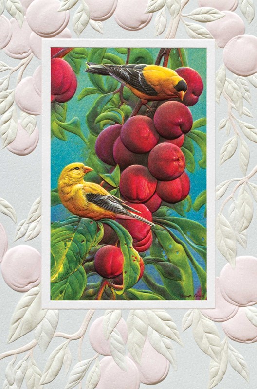 Goldfinch and Plums | Birthday greeting cards