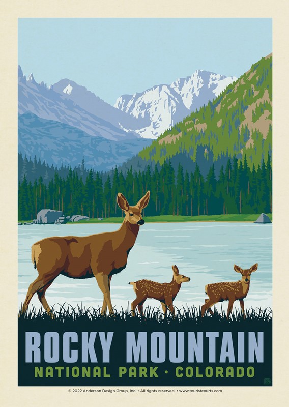 RMNP Deer Family | Single Postcard