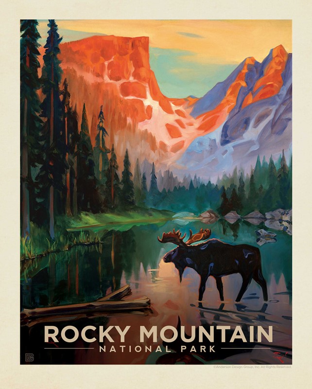 Rocky Mountain Moose In The Morning 8" x10" Print | USA Made