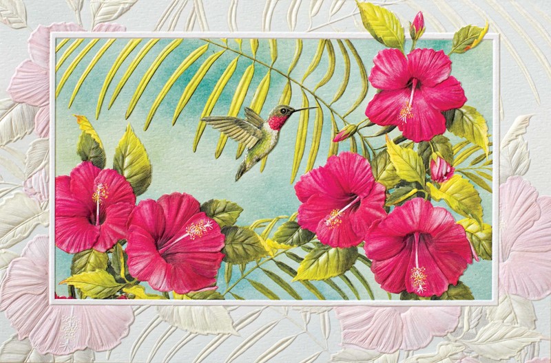 Hibiscus & Hummingbird (BK) | Blank Greeting Cards