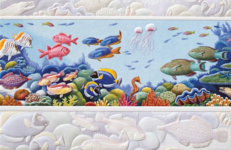 Reef Life (BK) | Blank Greeting Cards