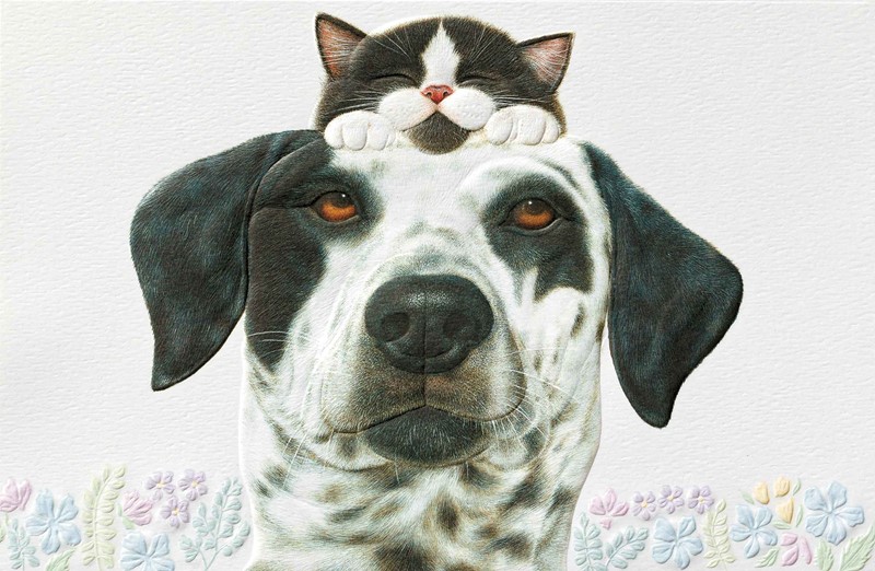 Buddies | Pet lover greeting cards