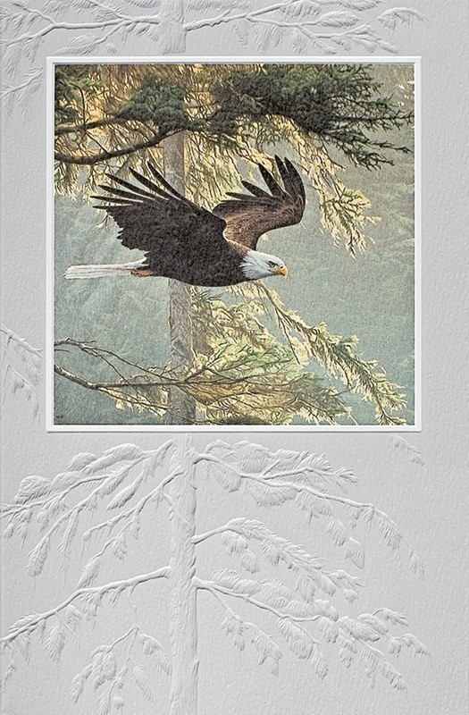 Forest Flight | Birthday cards