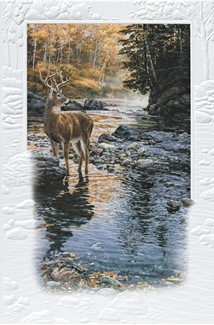 Shallow Crossing | Deer greeting cards