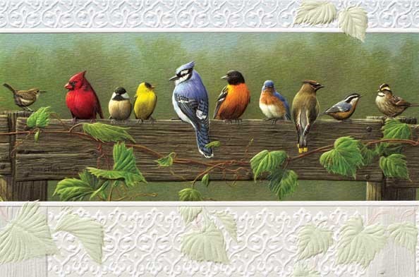 Railbirds | Songbirds embossed greeting cards