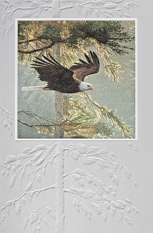 Forest Flight | Embossed inspirational birthday cards