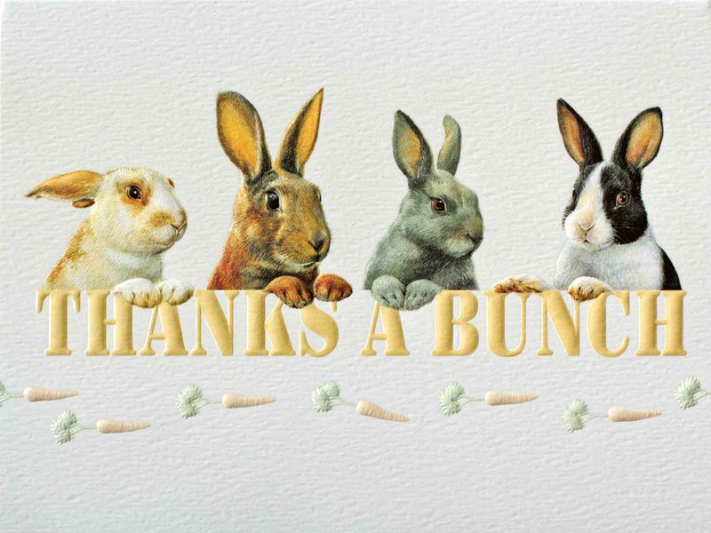 Thanks a Bunch | Inspirational thank you note cards