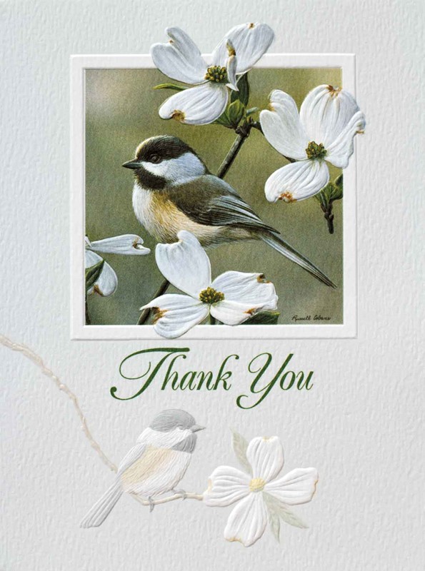 Spring Chickadee | Thank you note cards