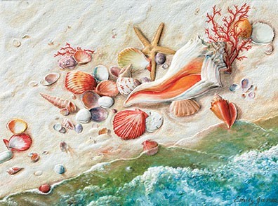 Treasures of the Sea | Seashell greeting cards