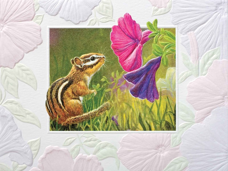 Chipmunk (GW) | American made greeting cards