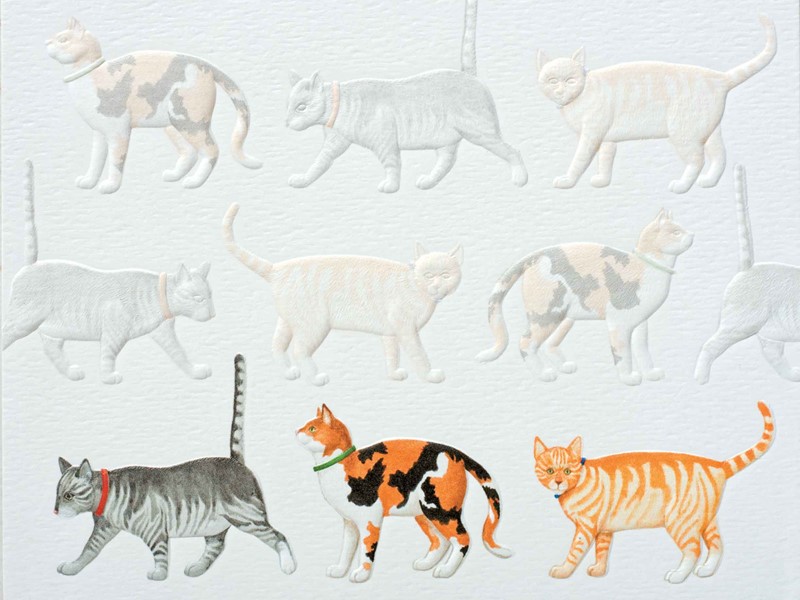 Feline Parade (TOY) | Beach friendship note cards