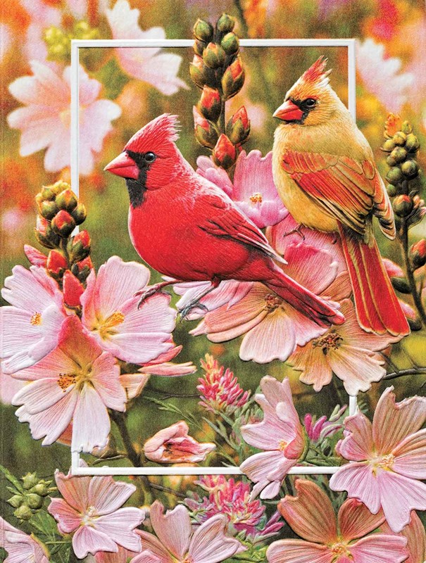 Mellow Mallow | Cardinal greeting cards