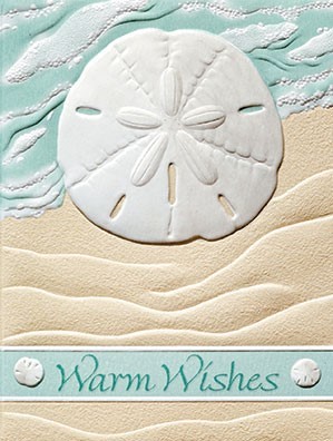 Surf Sand Dollar | Sand dollar birthday note cards