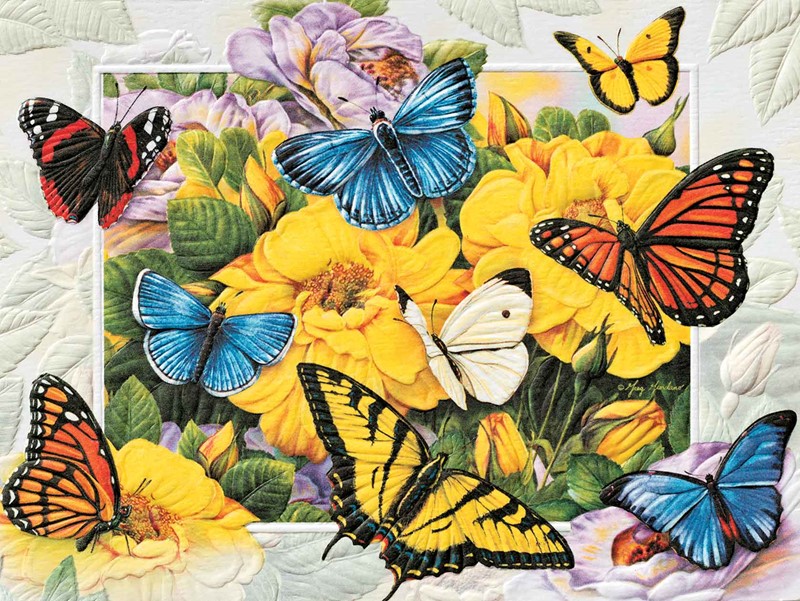 Butterfly Menagerie | Butterfly birthday note cards