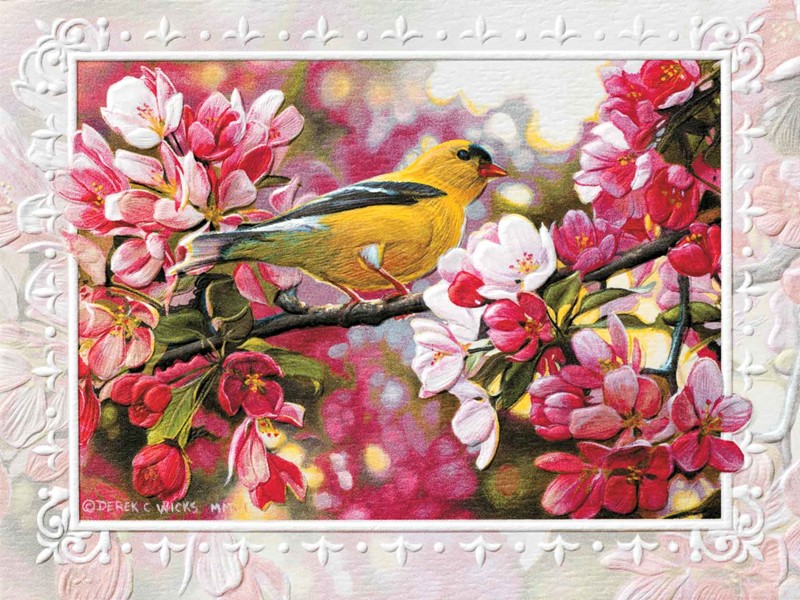 Golden Touch | Goldfinch inspirational birthday note cards