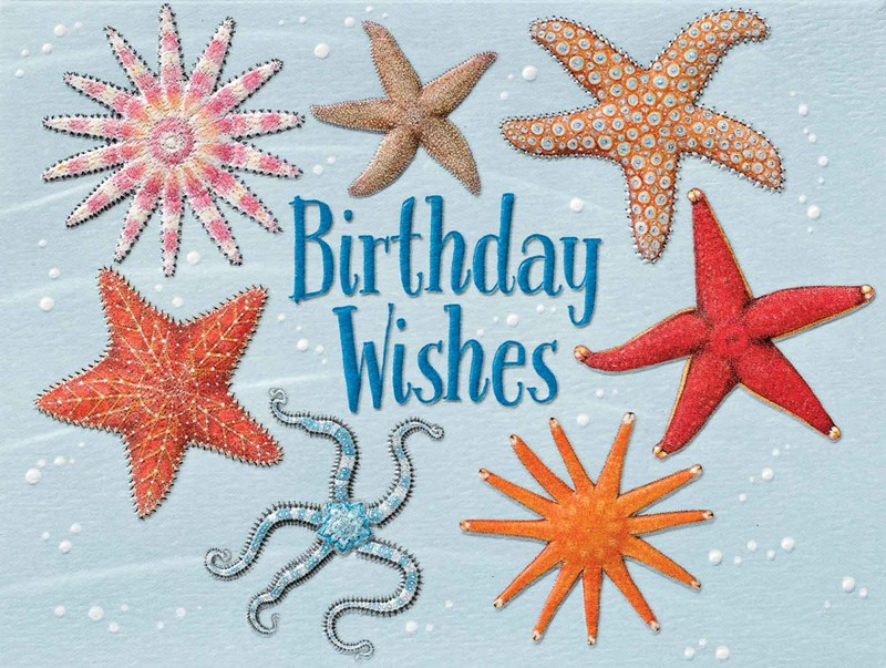 Stars of the Sea | Starfish birthday  note cards