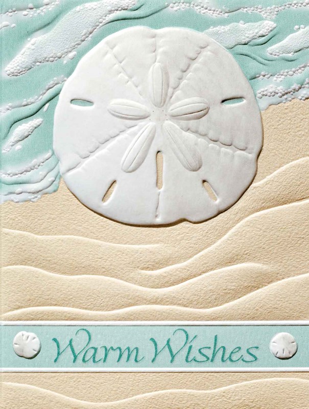 Surf Sand Dollar | Sand dollar birthday note cards