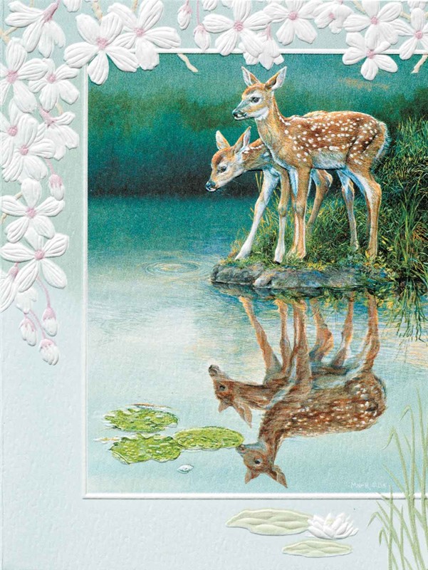 Whitetail Fawns | Embossed deer birthday greeting cards