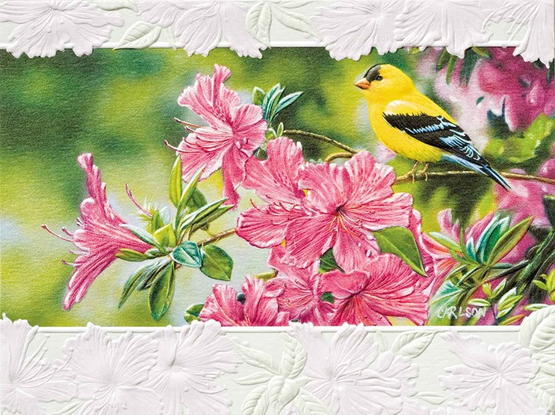 Goldfinch in Azaleas (BK) | Blank note cards