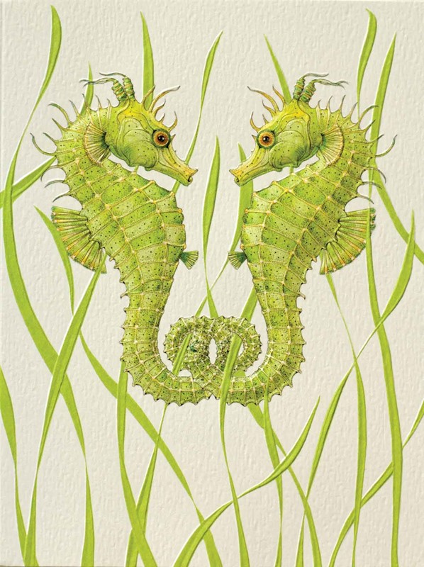 Seahorse Duo | Sealife blank greeting cards