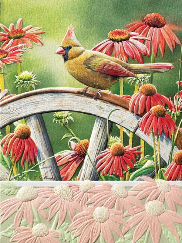 Hiding In Plain Sight II (BK) | Embossed songbird note cards