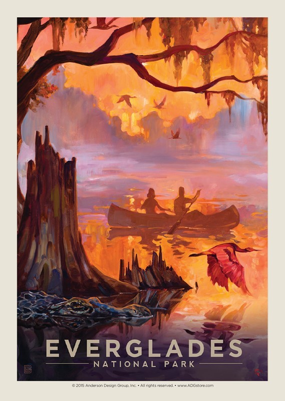 Everglades Splendor | Postcard